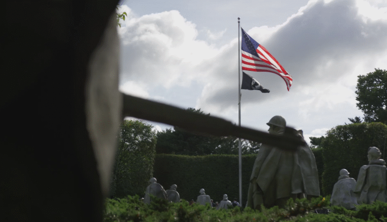 Flag waving in the sky free of concern