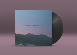 A vinyl disk about to be played